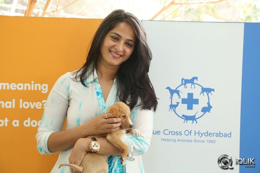 Anushka-at-Blue-Cross-Pet-Carnival-2014